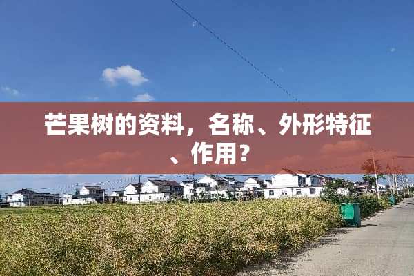 芒果树的资料，名称、外形特征、作用？