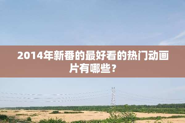 2014年新番的最好看的热门动画片有哪些？