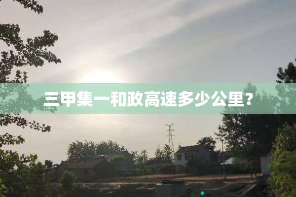 三甲集一和政高速多少公里？