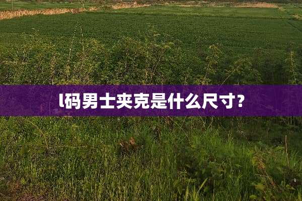 l码男士夹克是什么尺寸？
