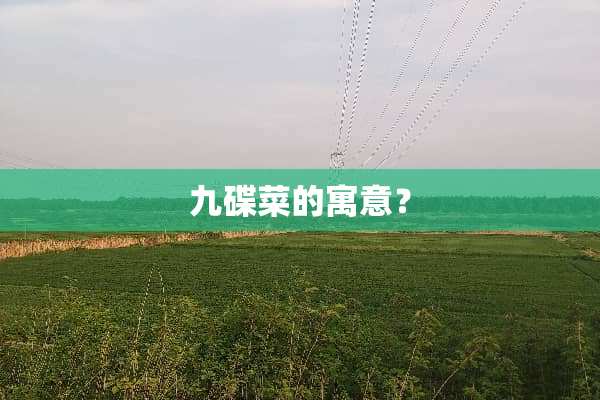 九碟菜的寓意？