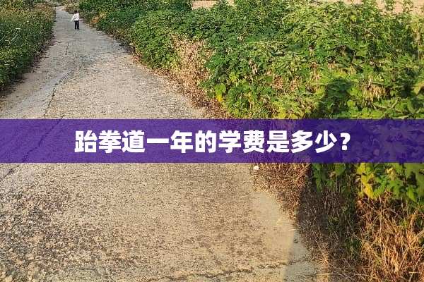 跆拳道一年的学费是多少？