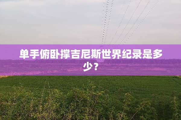 单手俯卧撑吉尼斯世界纪录是多少？