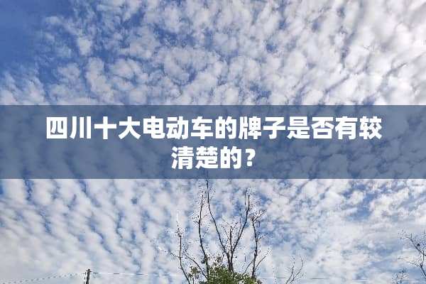四川十大电动车的牌子是否有较清楚的？