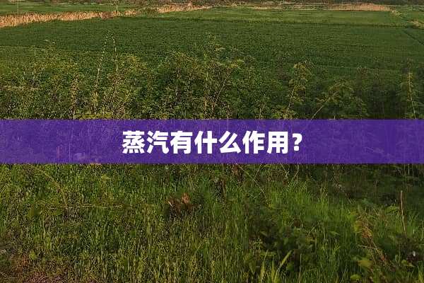 蒸汽有什么作用？