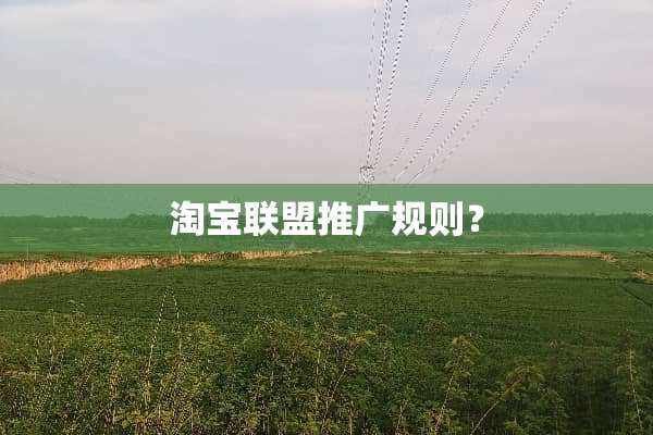 淘宝联盟推广规则？