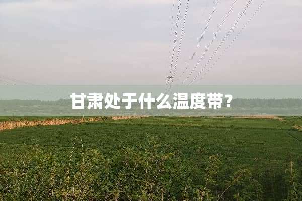 甘肃处于什么温度带？