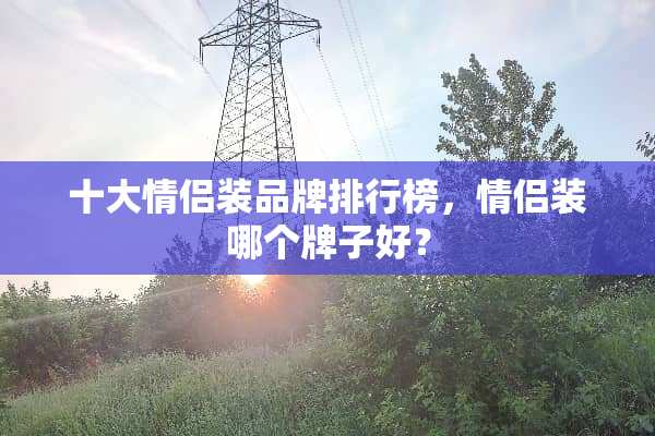 十大***品牌排行榜，***哪个牌子好？
