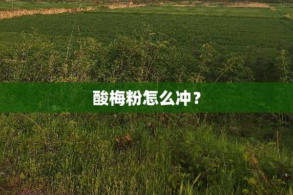 酸梅粉怎么冲？