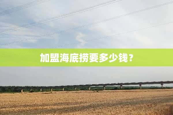 加盟海底捞要多少钱？