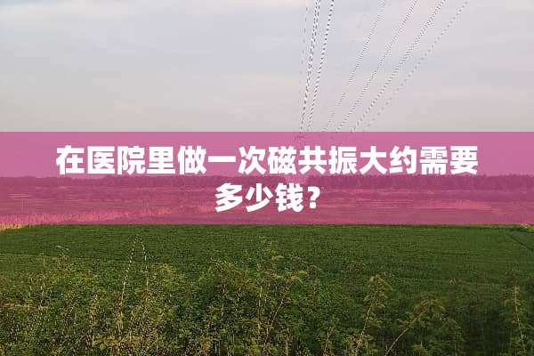 在医院里做一次磁共振大约需要多少钱？