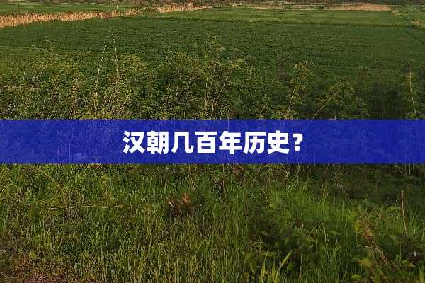 汉朝几百年历史？