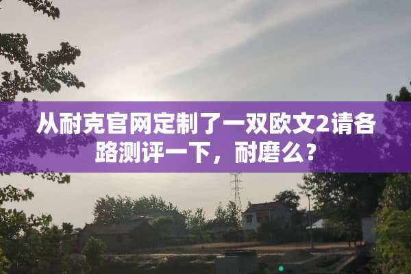 从耐克官网定制了一双欧文2请各路测评一下，耐磨么？