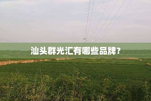 汕头群光汇有哪些品牌？
