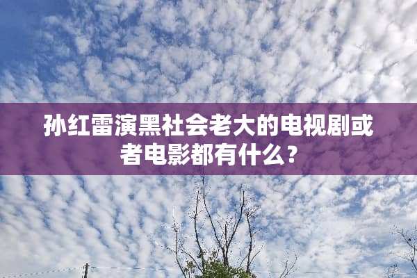 孙红雷演***老大的电视剧或者电影都有什么？