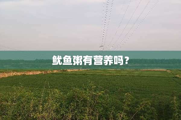 鱿鱼粥有营养吗？