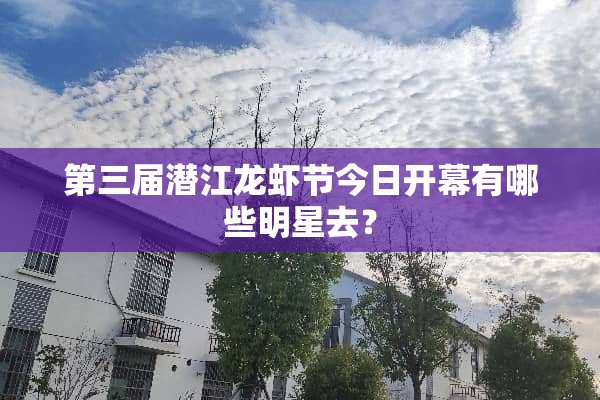 第三届潜江龙虾节今日开幕有哪些明星去？