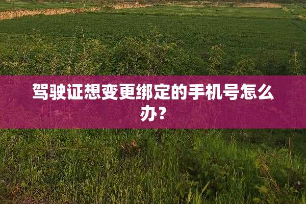 ***想变更绑定的手机号怎么办？