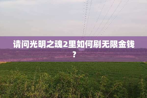 请问光明之魂2里如何刷无限金钱？
