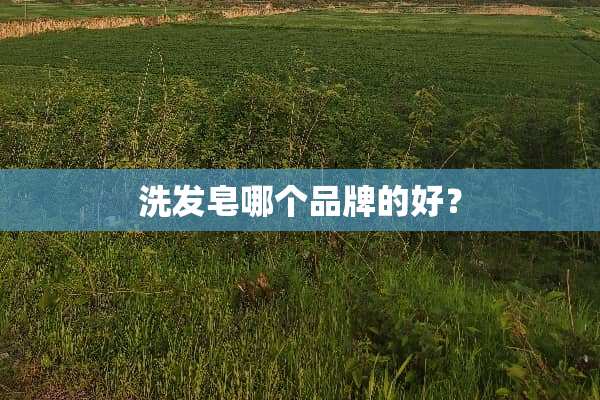 洗发皂哪个品牌的好？
