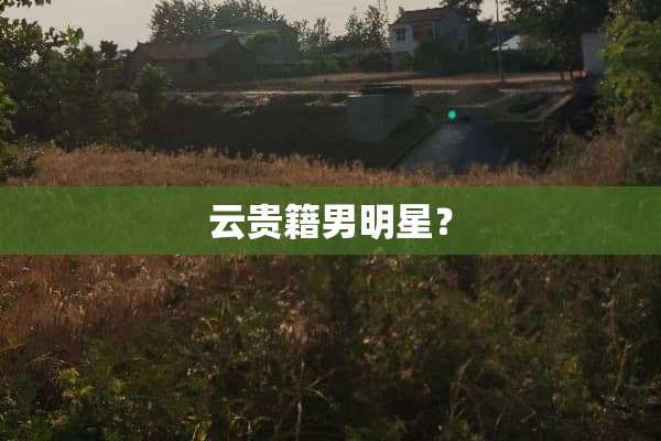 云贵籍男明星？