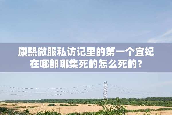 康熙微服私访记里的第一个宜妃在哪部哪集死的怎么死的？