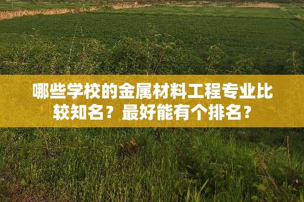 哪些学校的金属材料工程专业比较知名？最好能有个排名？