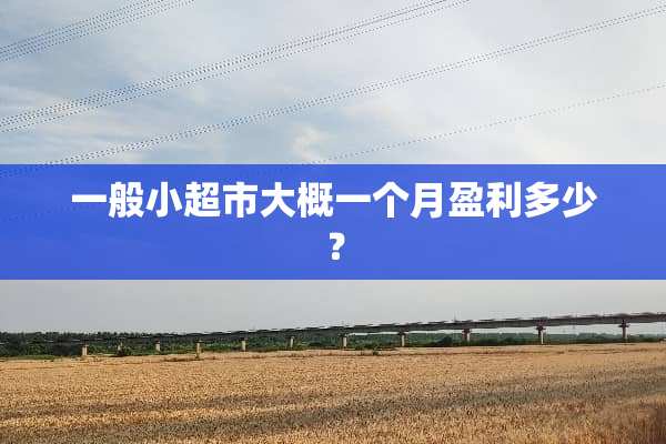 一般小超市大概一个月盈利多少？