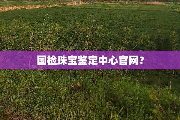 国检珠宝鉴定中心官网？