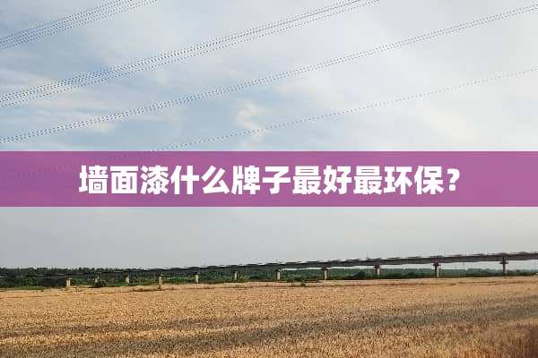 墙面漆什么牌子最好最环保？