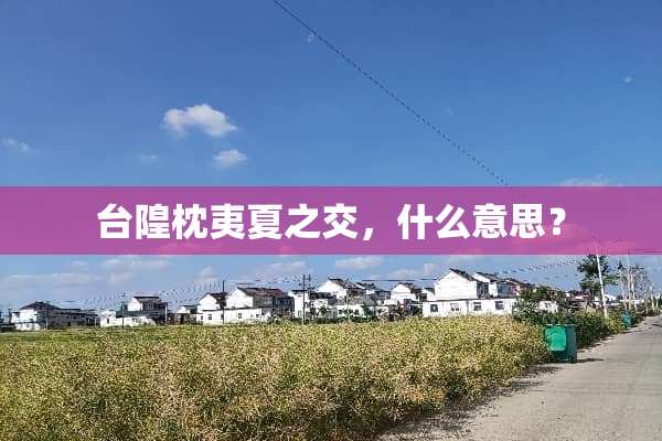 台隍枕夷夏之交，什么意思？