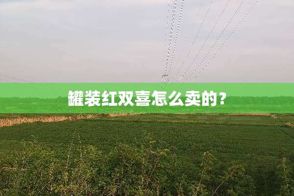 罐装红双喜怎么卖的？