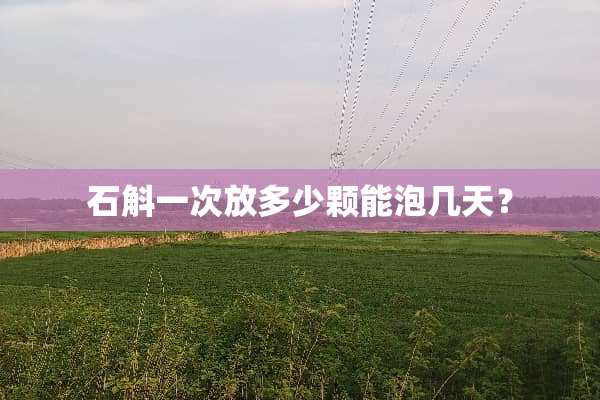 石斛一次放多少颗能泡几天？