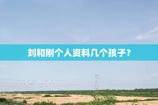 刘和刚个人资料几个孩子？
