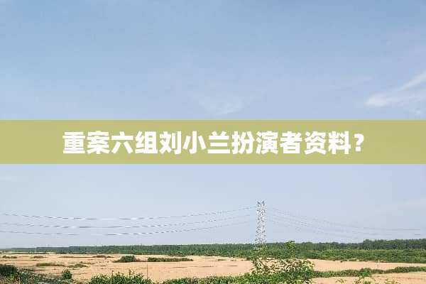 重案六组刘小兰扮演者资料？