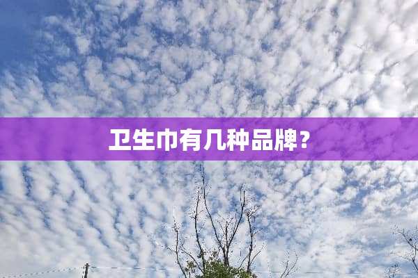 卫生巾有几种品牌？