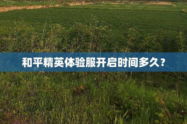 和平精英体验服开启时间多久？