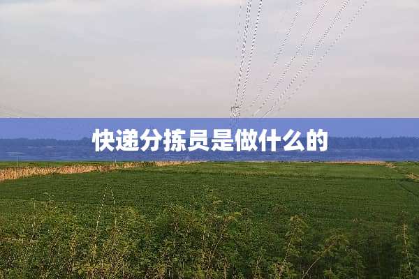 快递分拣员是做什么的