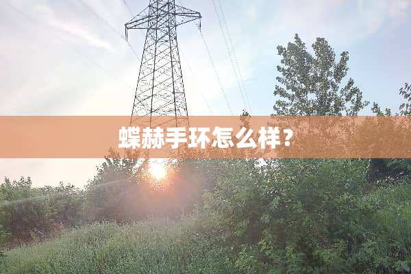 蝶赫手环怎么样？