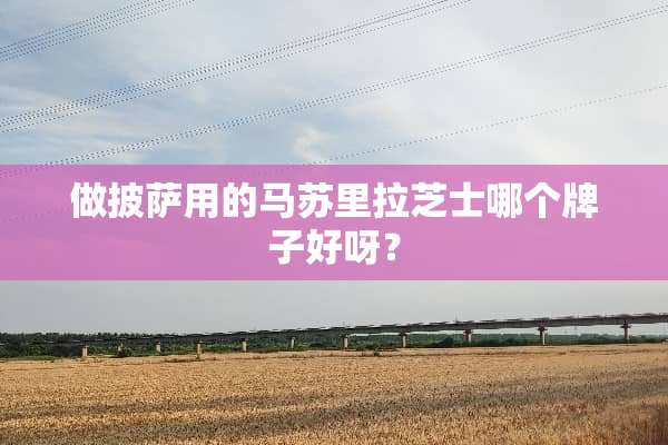 做披萨用的马苏里拉芝士哪个牌子好呀？