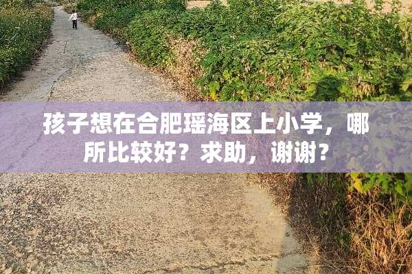 孩子想在合肥瑶海区上小学，哪所比较好？求助，谢谢？