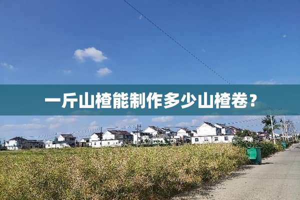 一斤山楂能制作多少山楂卷？