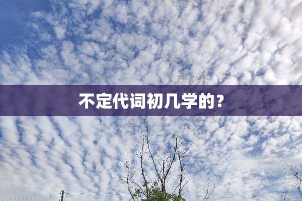 不定代词初几学的？