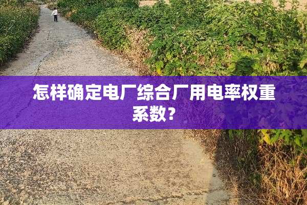怎样确定电厂综合厂用电率权重系数？