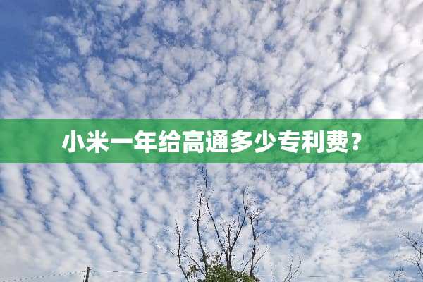 小米一年给高通多少专利费？