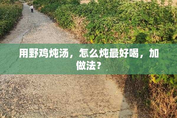 用野鸡炖汤，怎么炖最好喝，加做法？