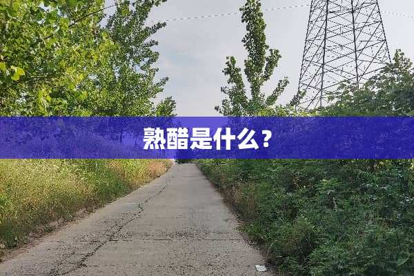 熟醋是什么？