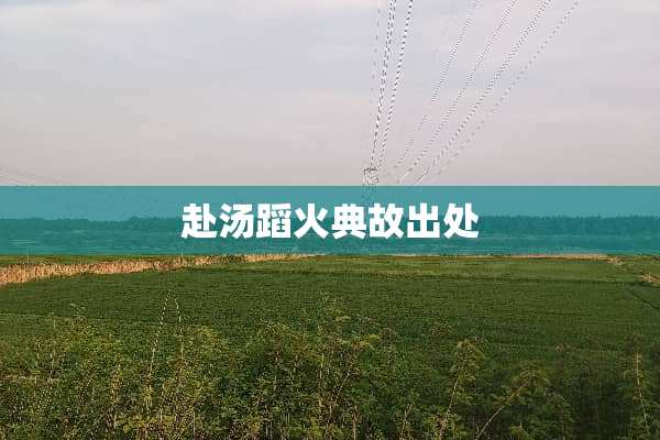 赴汤蹈火典故出处