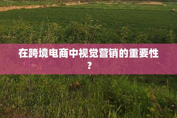 在跨境电商中视觉营销的重要性？