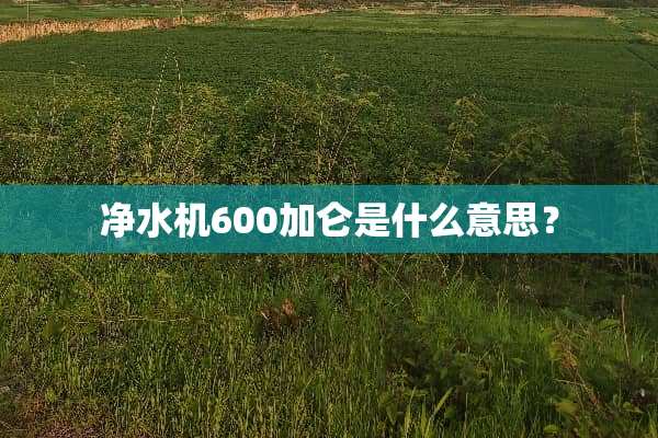 净水机600加仑是什么意思？
